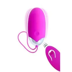 Oeuf Vibrant Rechargeable Berger