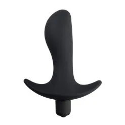 Stimulateur De Prostate Vibrant LT9042